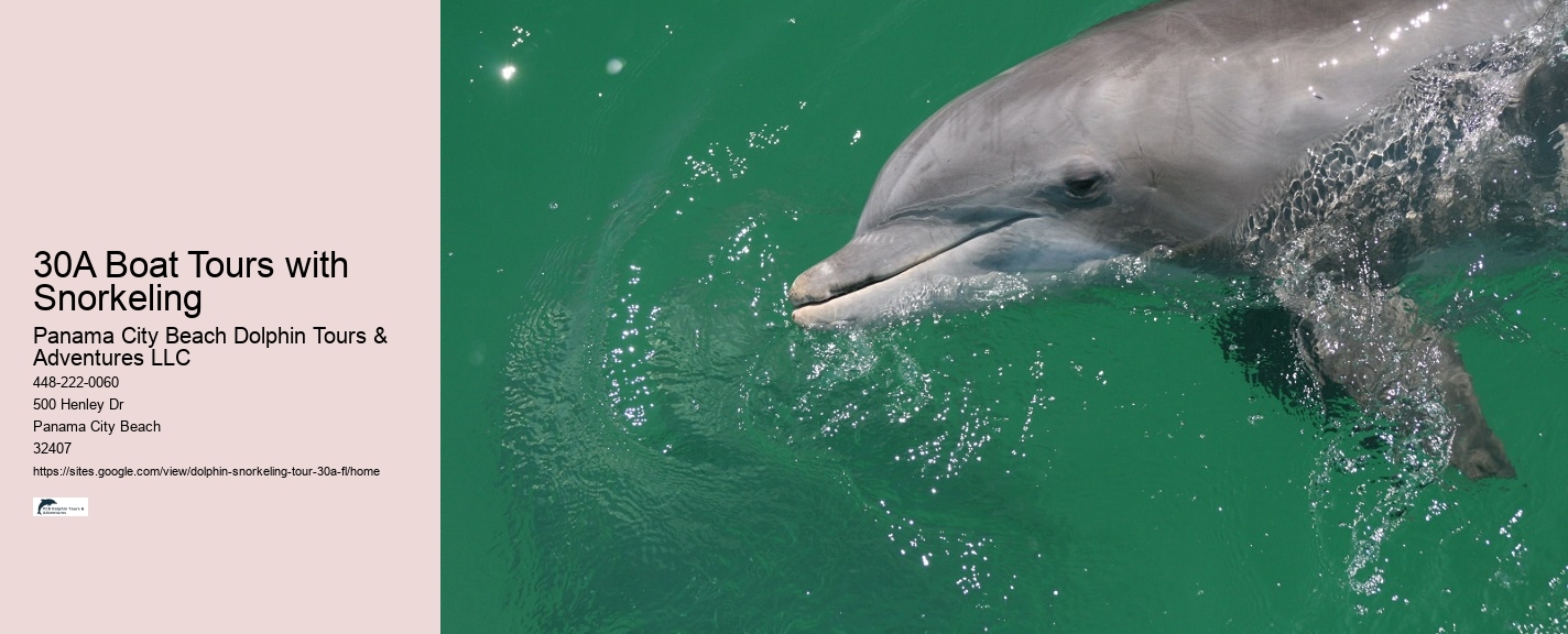 How Can I Watch Boy On A Dolphin