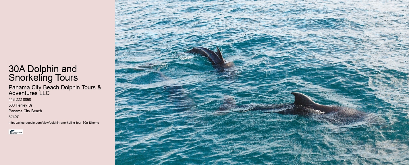 Pcb Dolphin Tours
