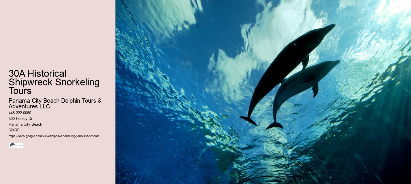 Watch A Dolphin Tale Online Free