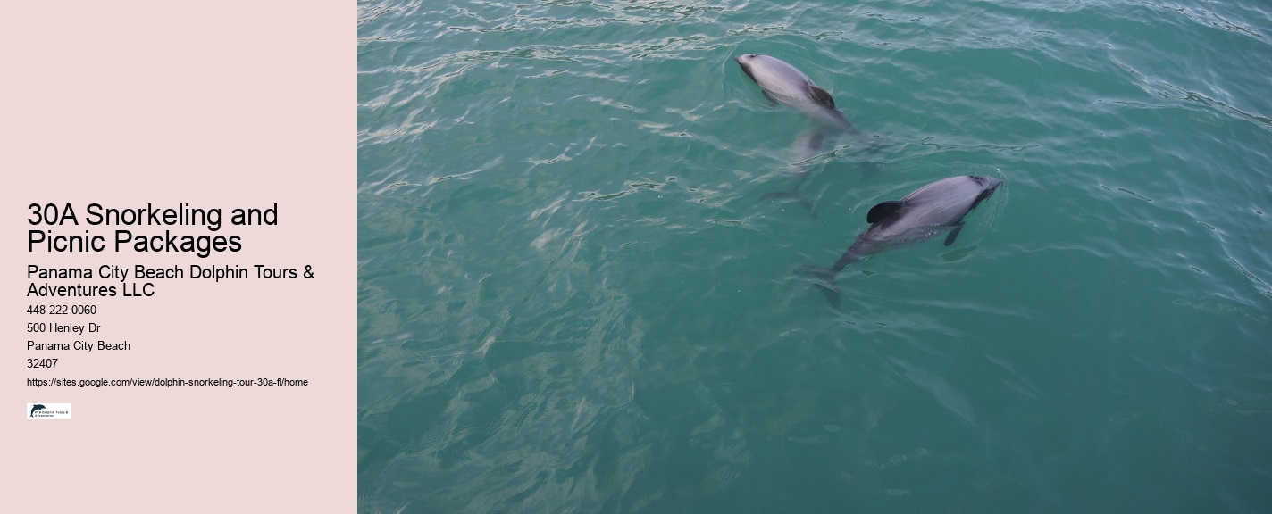 Dolphin and Sunset Cruise