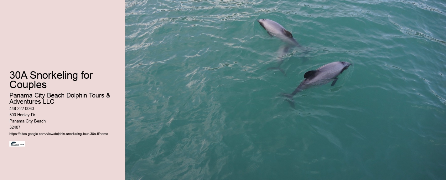 Dolphin Tours Adventures