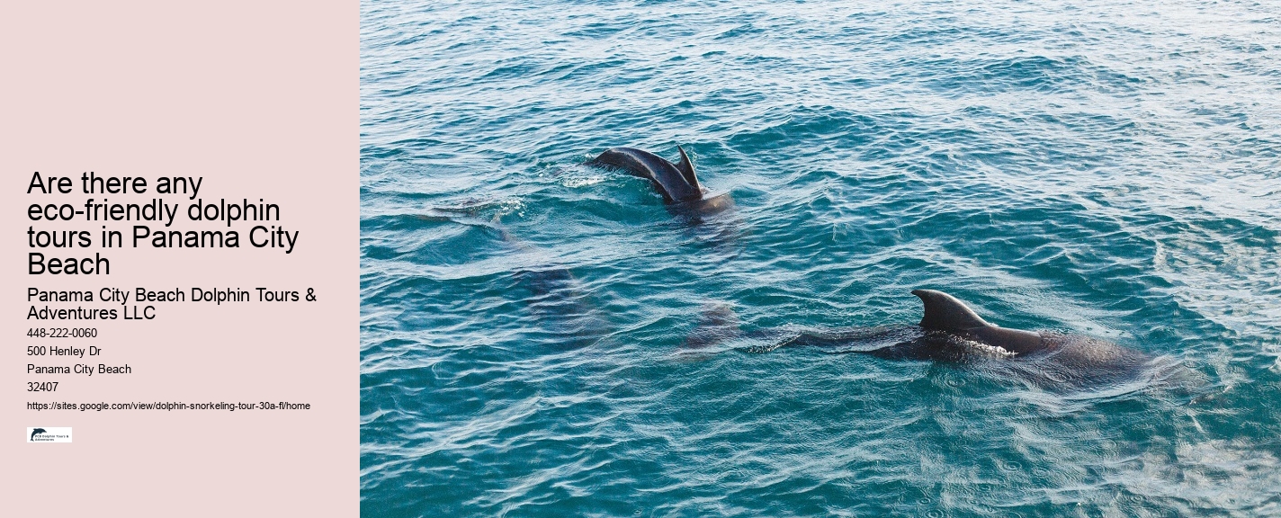 Dolphin Tours Nearby