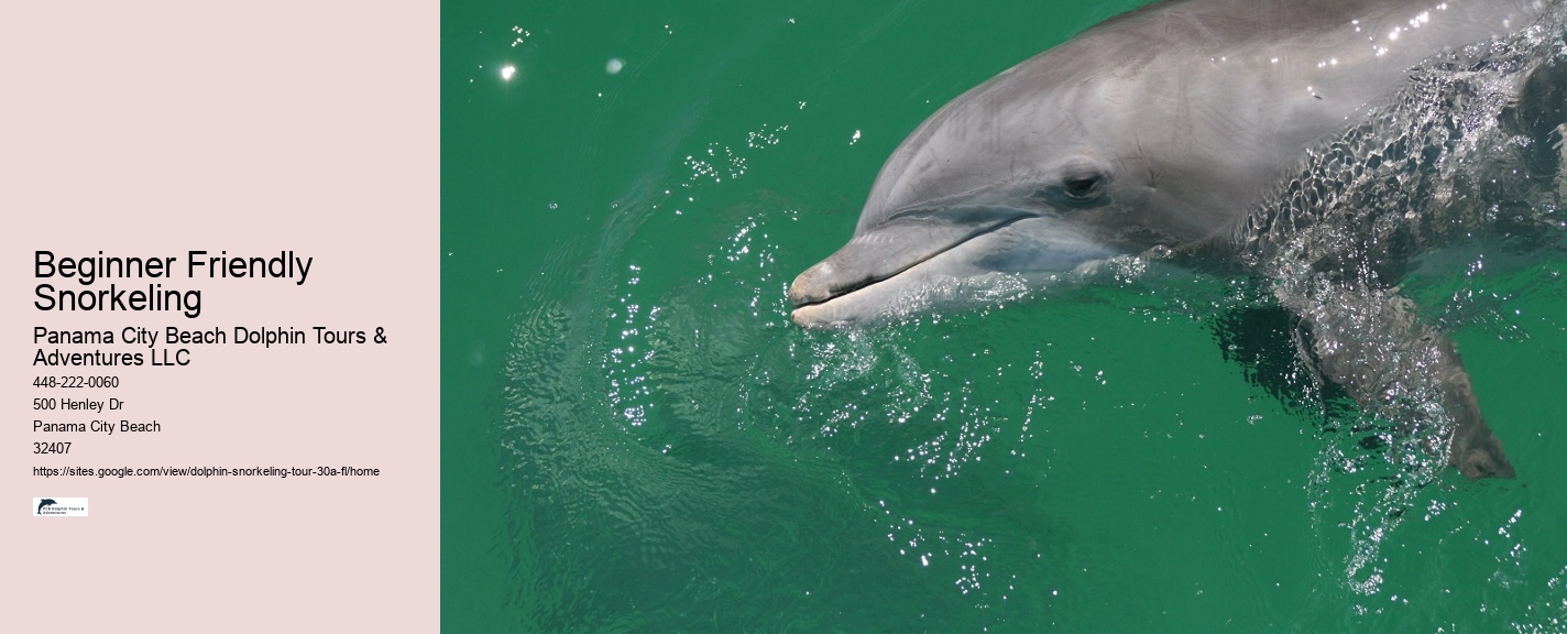 Blue Dolphin