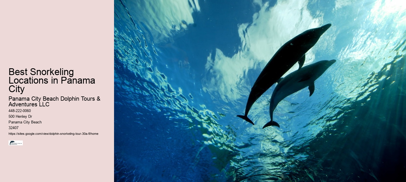 Can you swim with dolphins in Destin