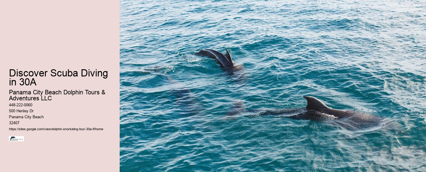 Dolphin and Snorkeling Tours 30a Florida