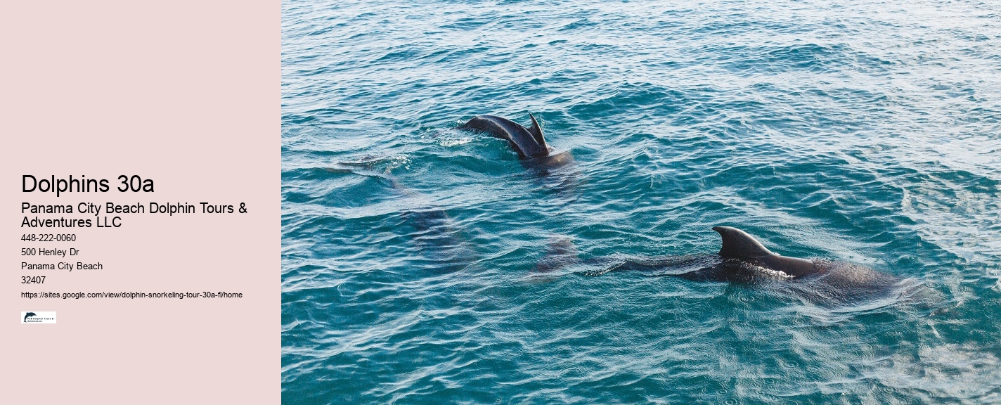 30A Reef Exploration Tours