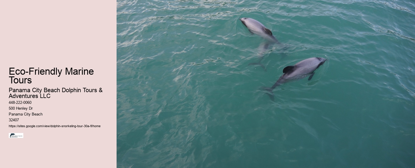 30a Snorkeling Tour