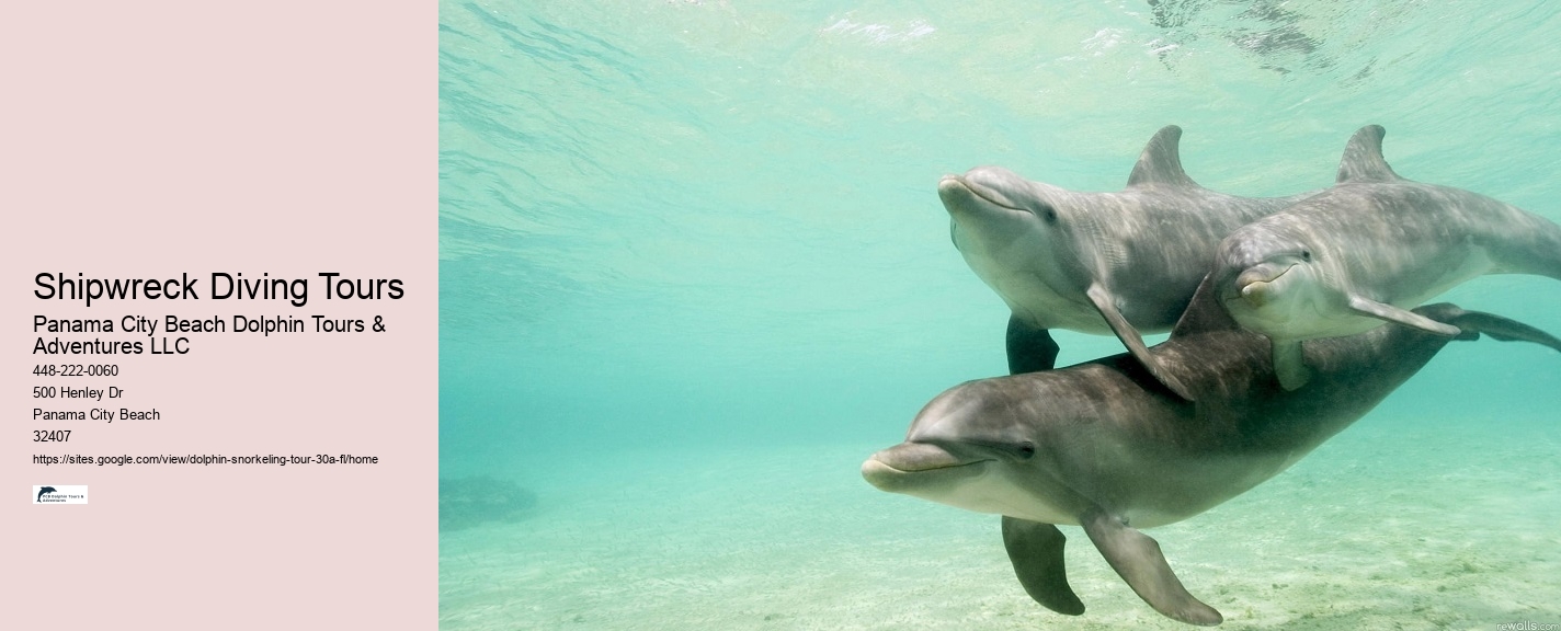 Swim