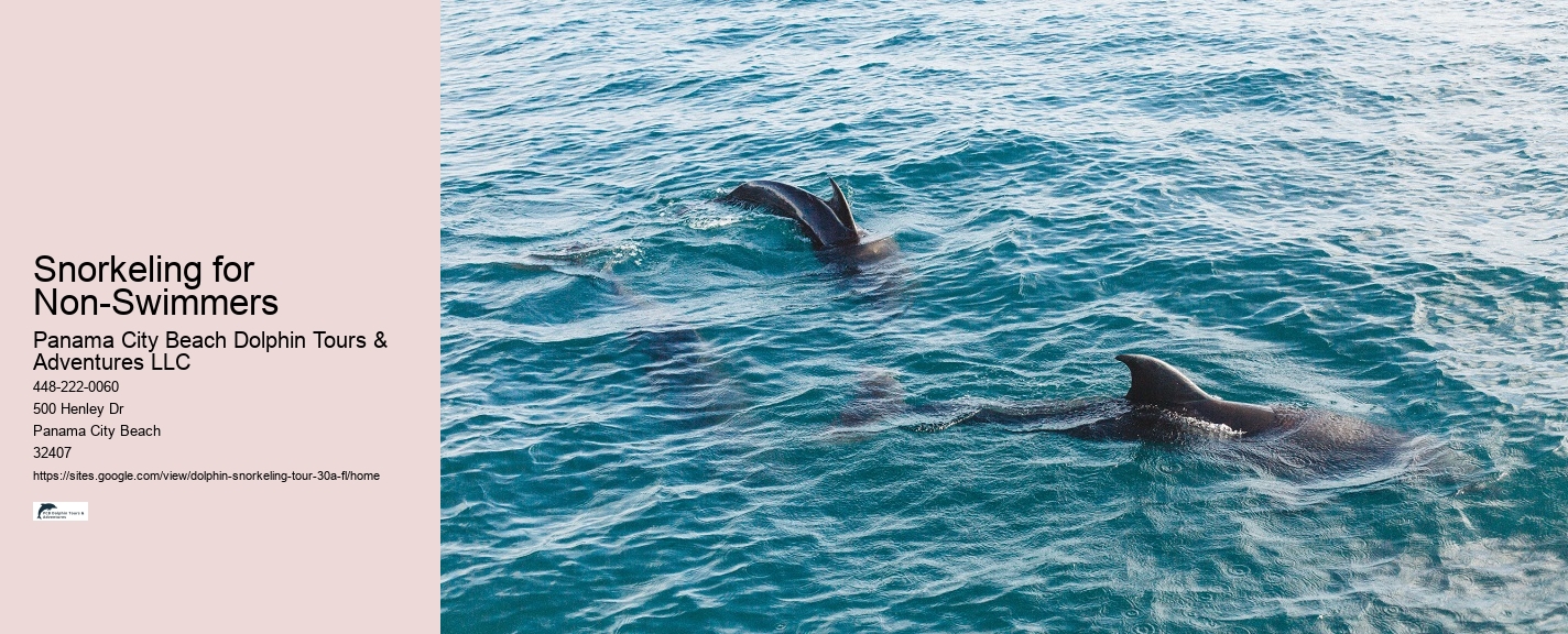 Do dolphins like swimming with humans