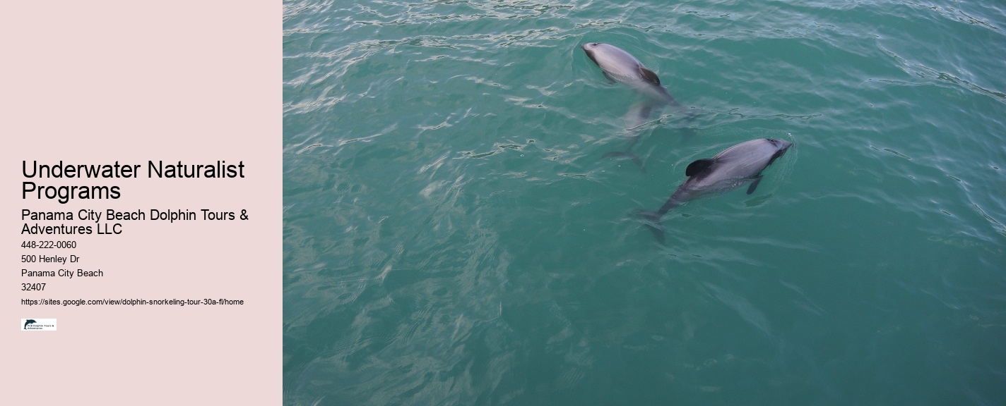 Can Dolphin Be A Pet