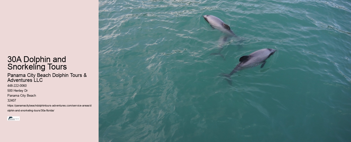 Scuba Diving 30a Florida