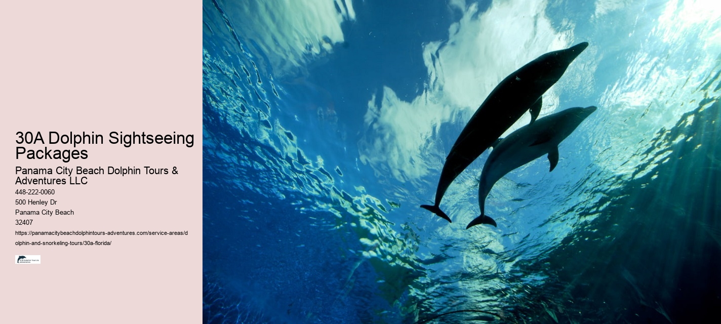 30A Dolphin Sightseeing Packages