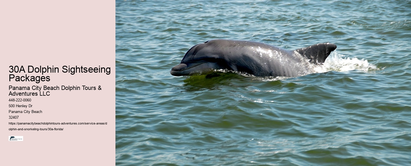 Dolphin Cruise