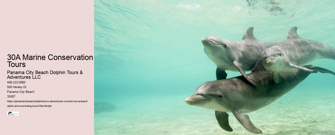 30A Marine Conservation Tours