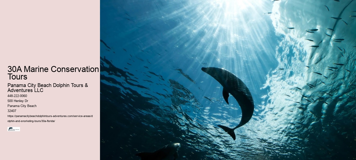 How To Call Dolphins To Your Boat
