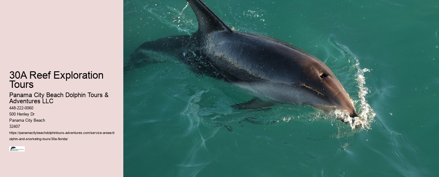 Dolphin Cruise 30a