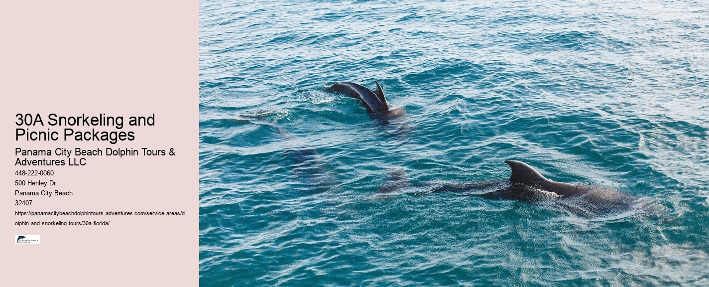 Where To Watch A Dolphin Tale