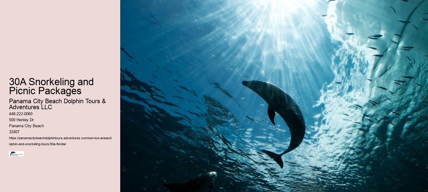 Where Can I See A Dolphin Show