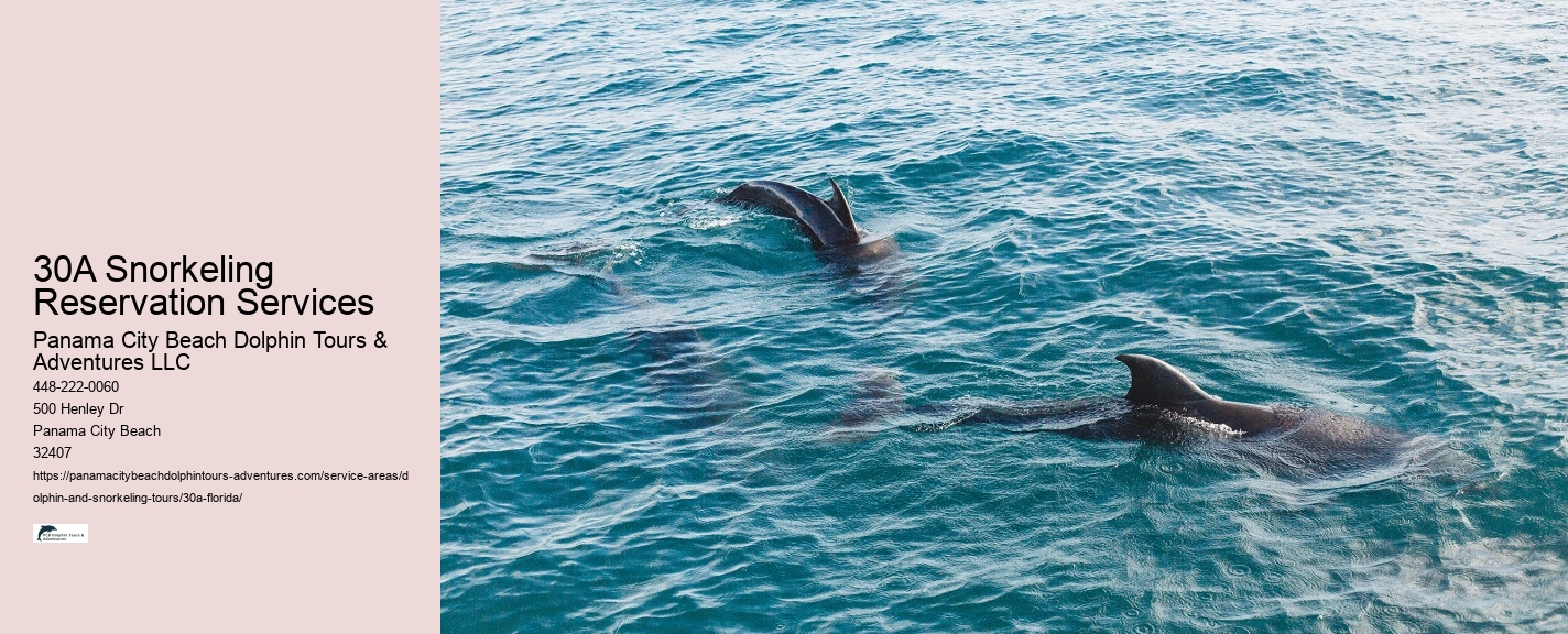 Private Charter Snorkeling