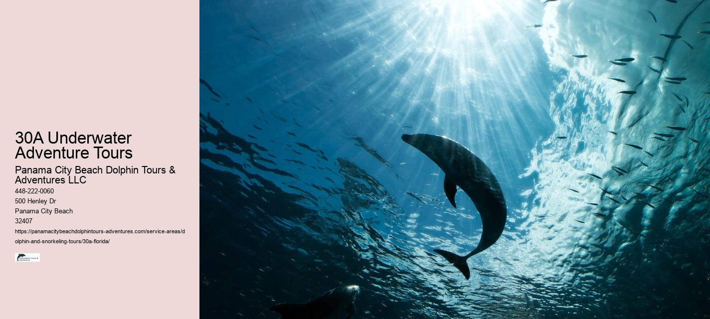 30A Underwater Adventure Tours
