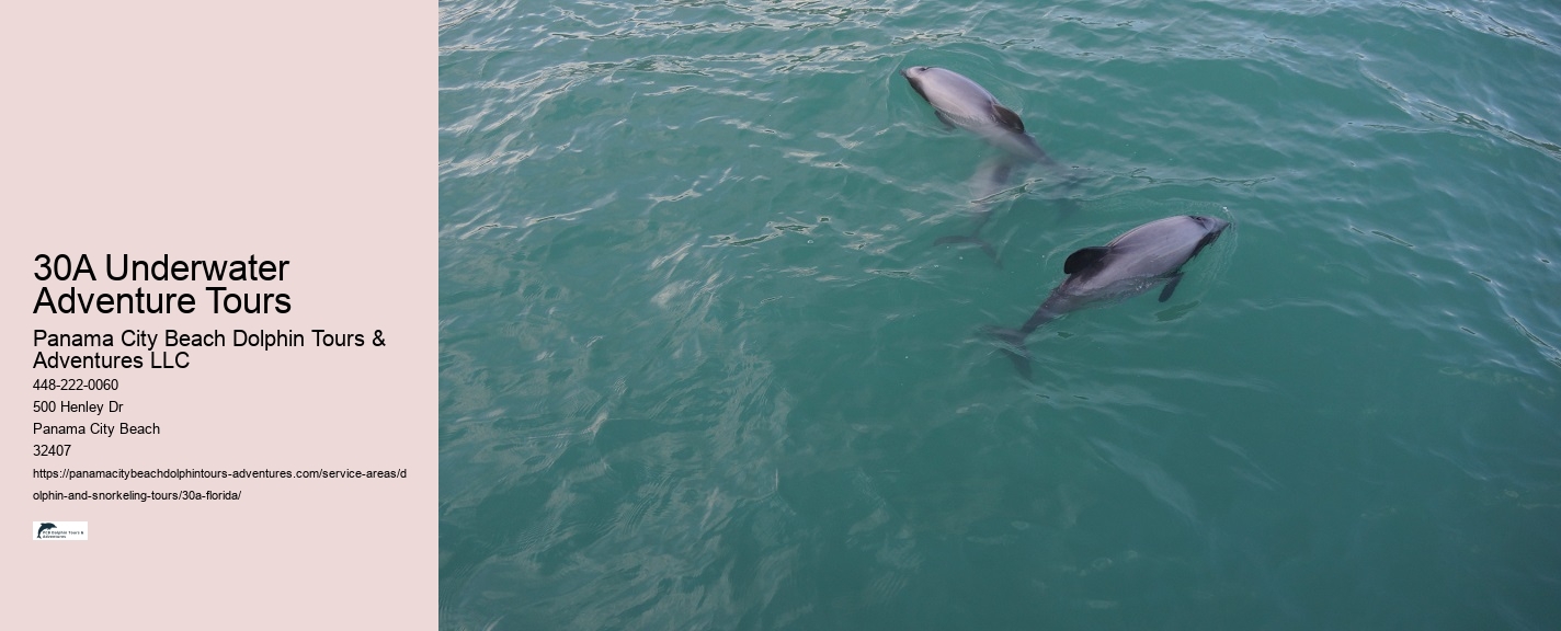Florida Keys Snorkeling Tours
