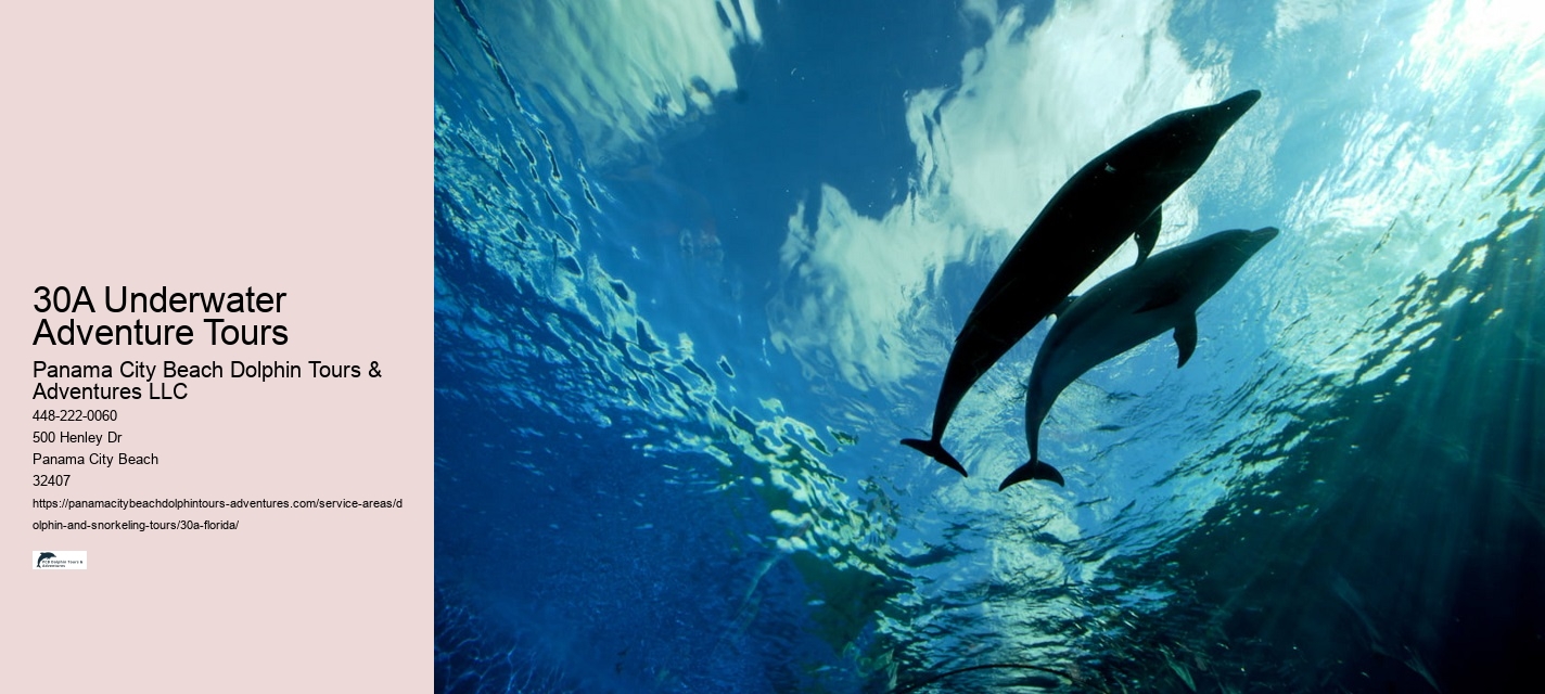 30A Snorkeling Gear Rentals