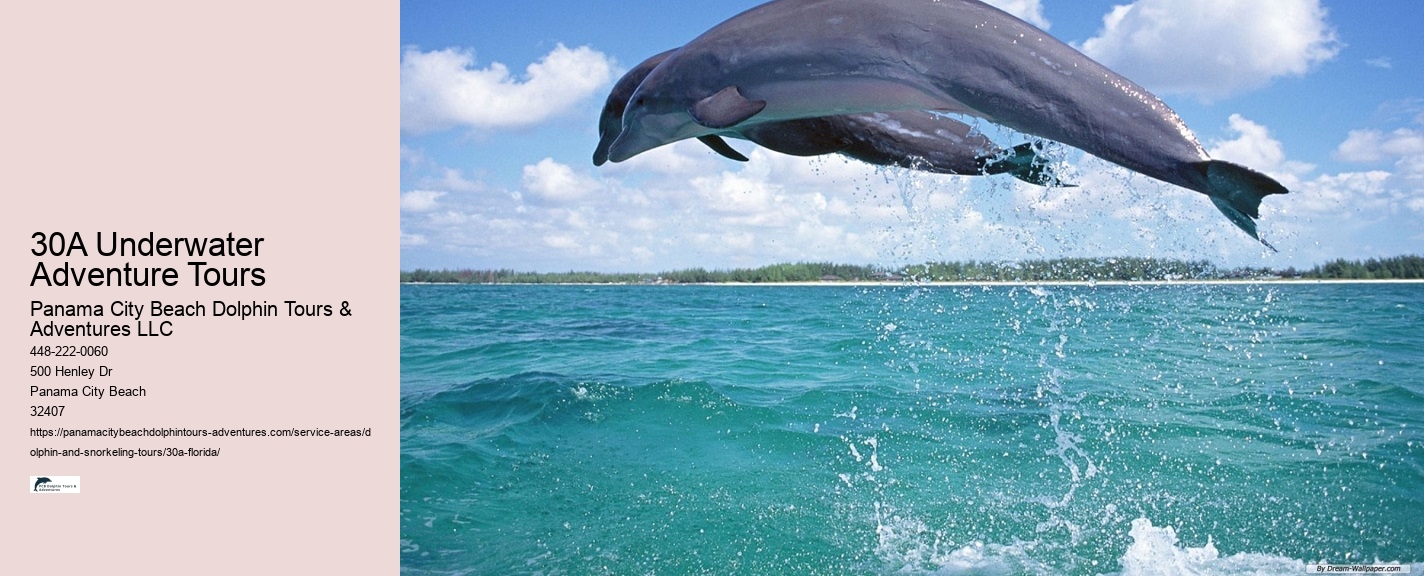 Marine Biology Educational Tours