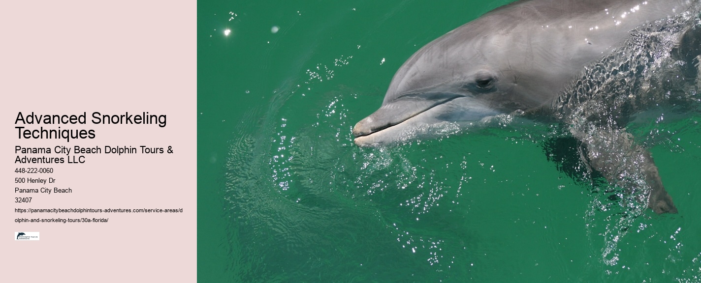 Scuba Diving 30a Florida