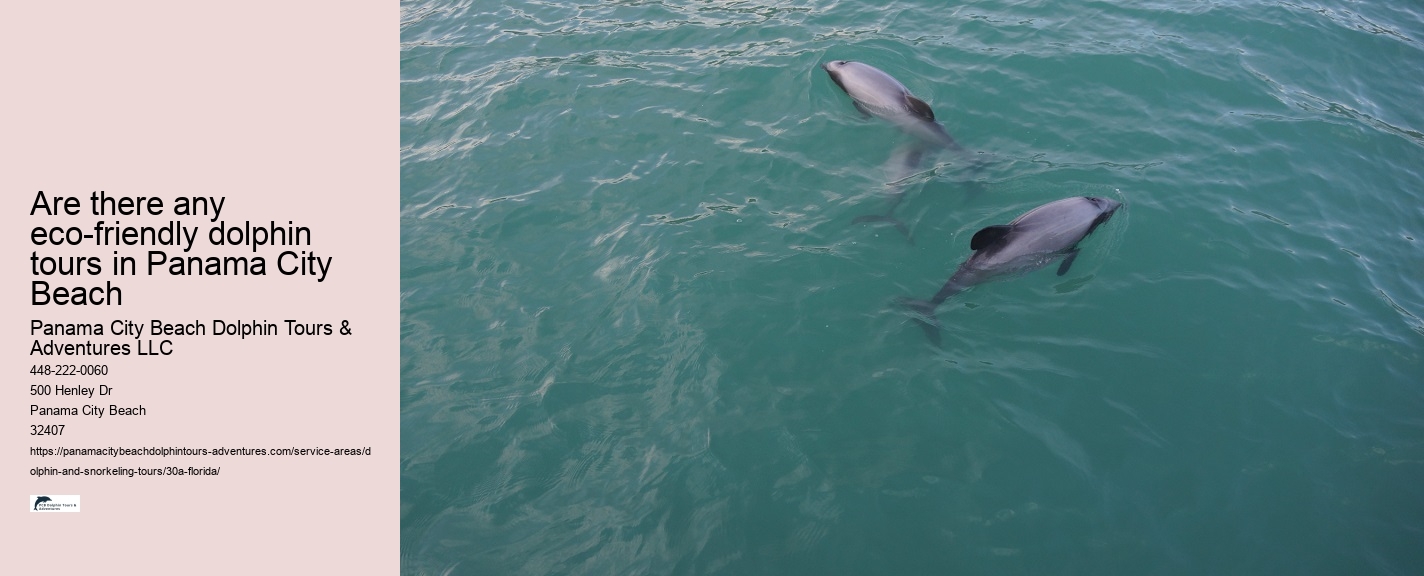 Can You Swim With Dolphins In Florida