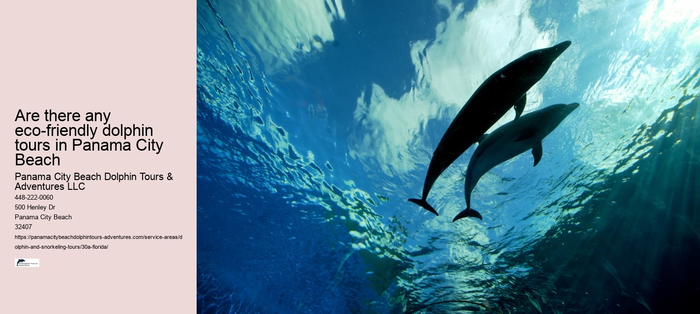 Snorkeling and Dolphin Tour