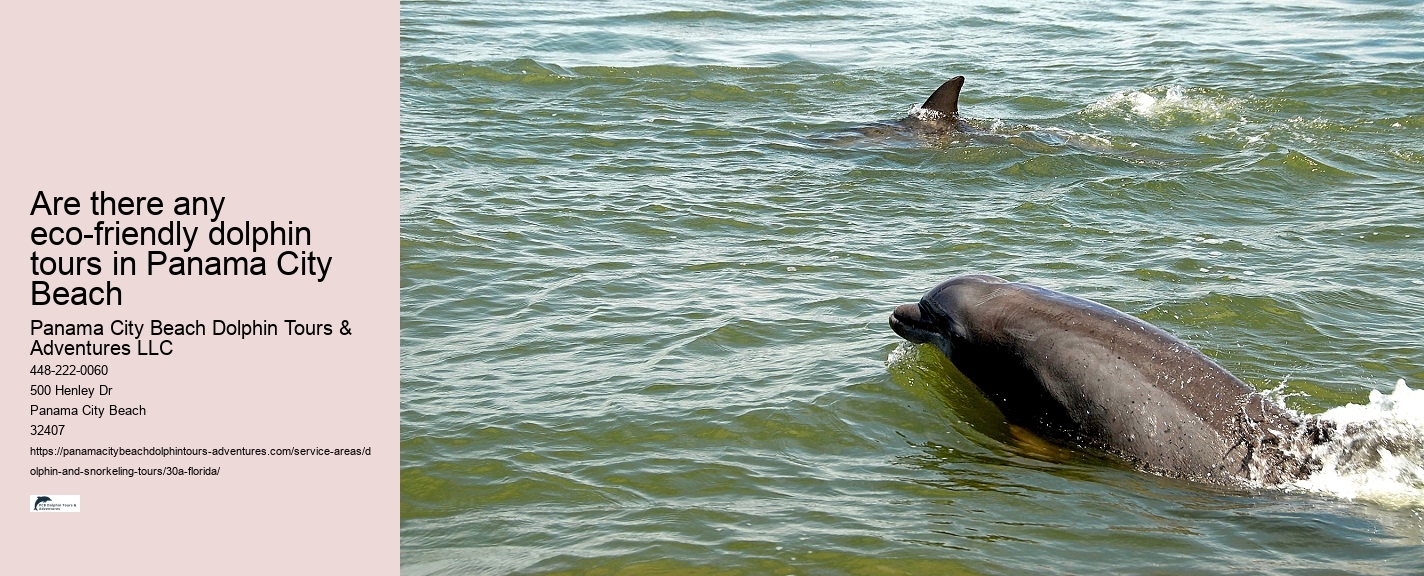 Snorkeling with Nurse Sharks