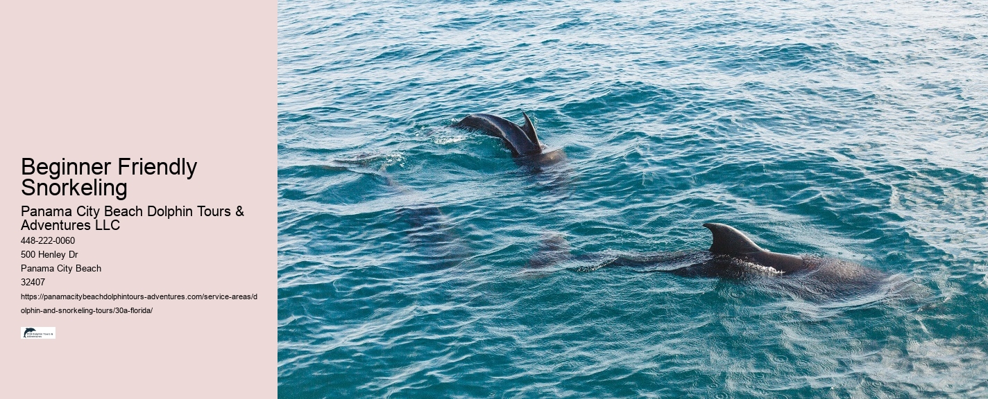 Jet Ski Dolphin Tours Near Me
