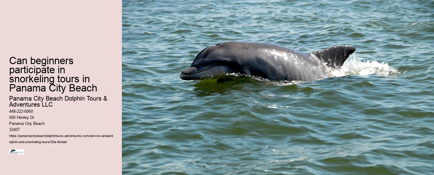 30A Shoreline Snorkel Tours