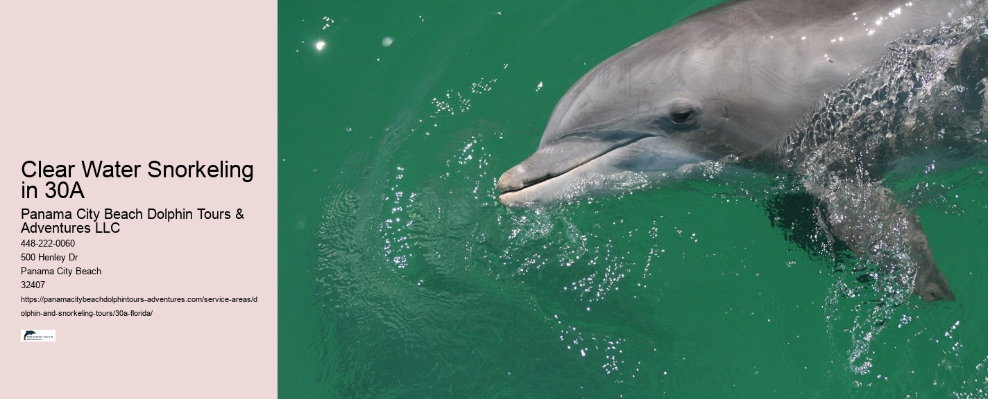 Panama City Snorkeling Spots
