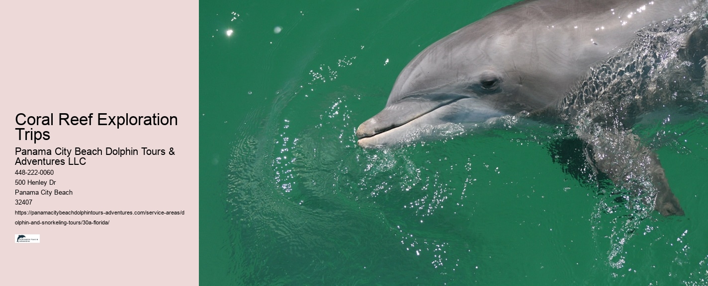 30a Snorkeling Tour