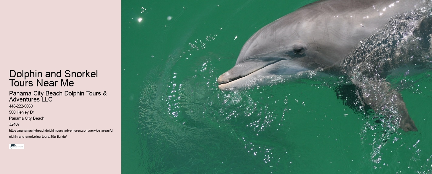 Boat Tours