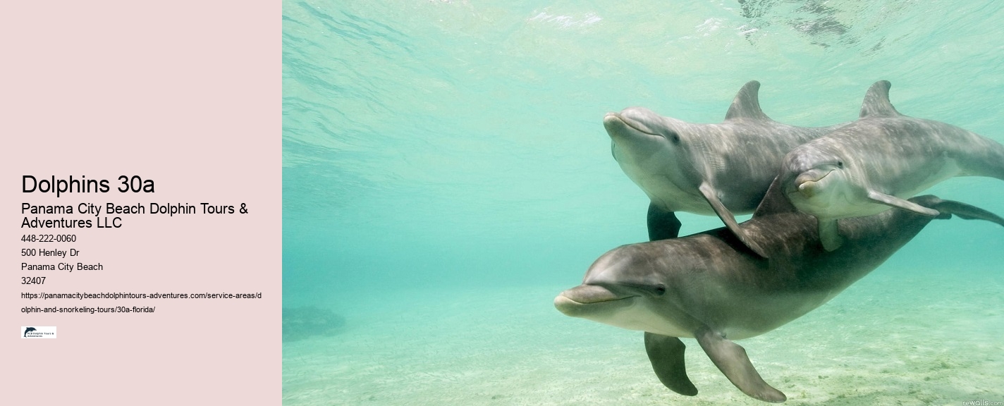 Dolphins 30a