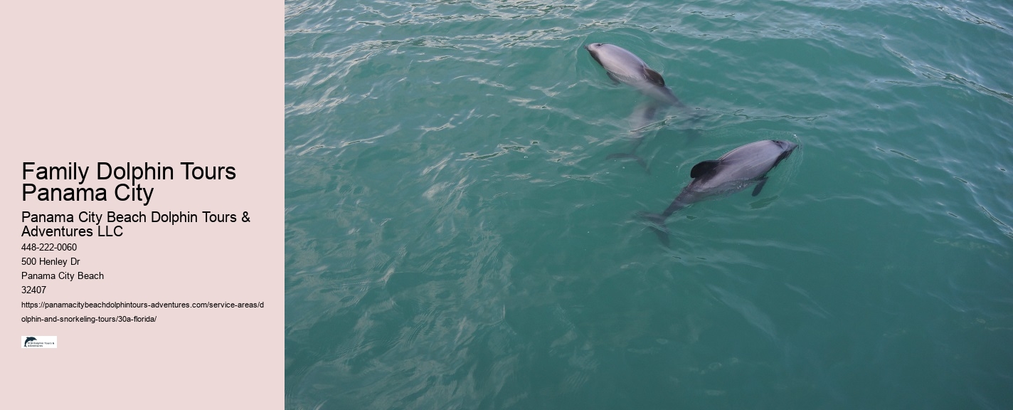 Speed Boat Dolphin Tour