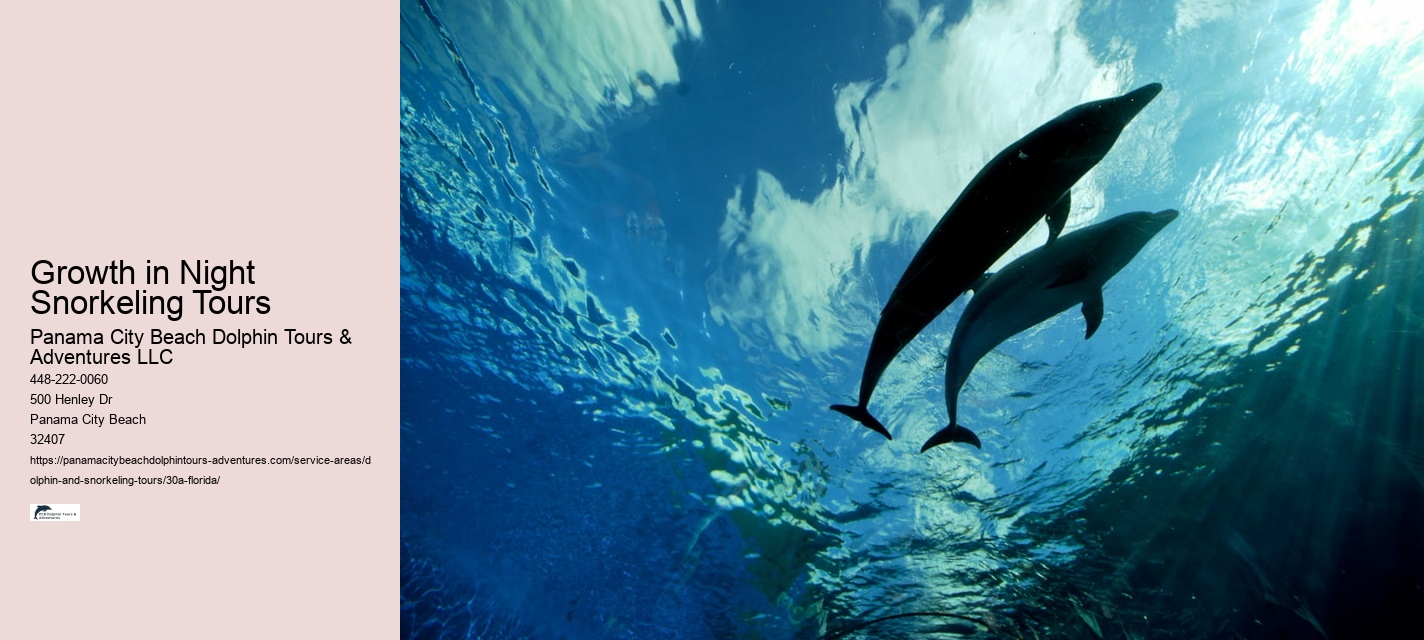 Growth in Night Snorkeling Tours