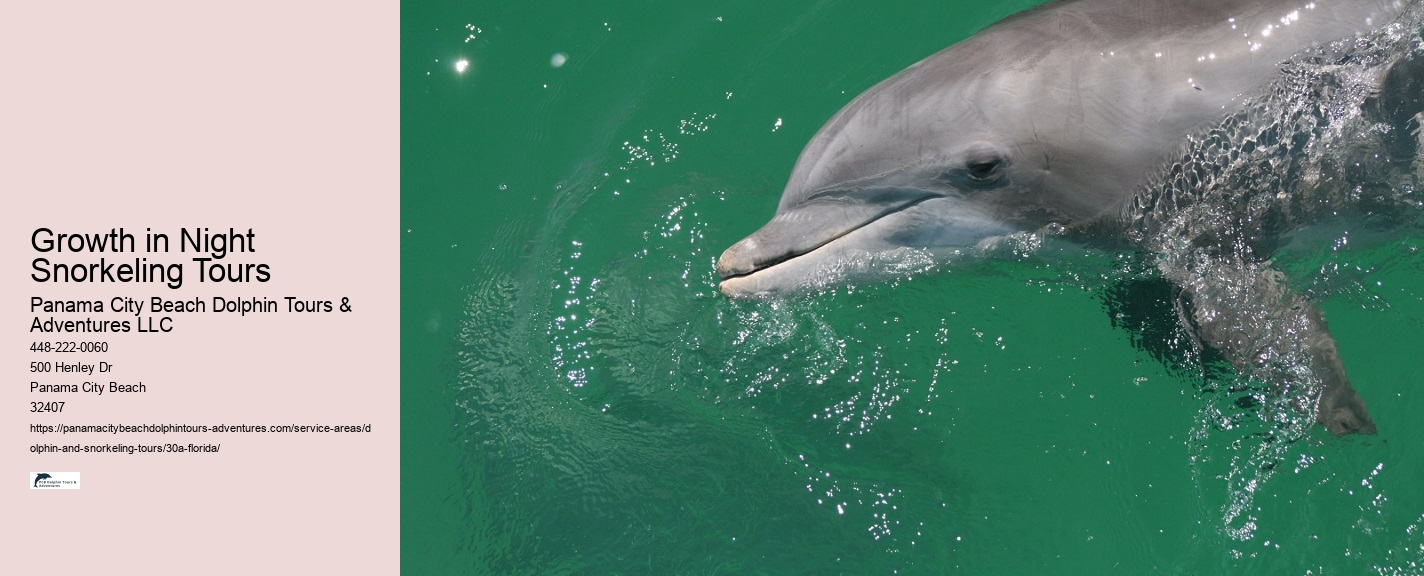 Eco Tours Snorkeling 30A