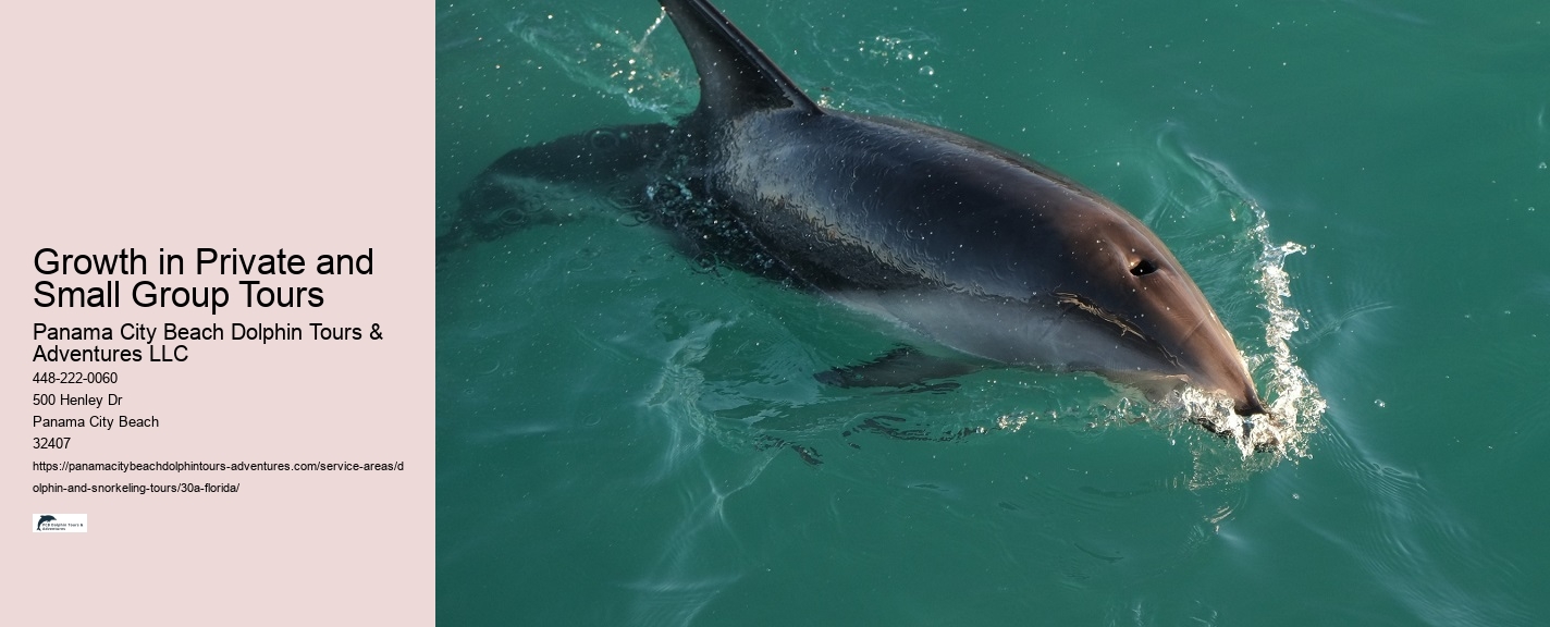 Why Do Dolphins Swim With Boats