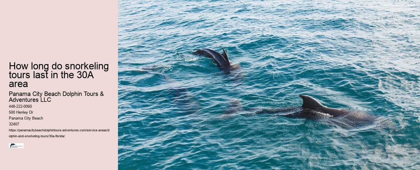 Salty Fins Dolphin and Snorkeling Tours