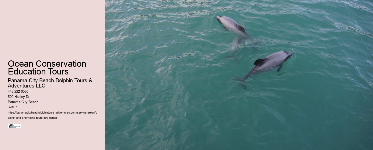 Destin Dolphin