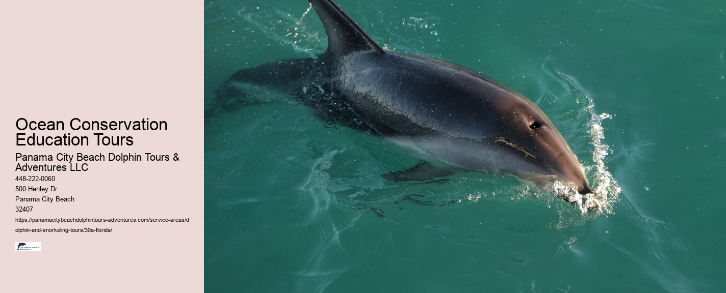 Underwater Photography Tours 30A