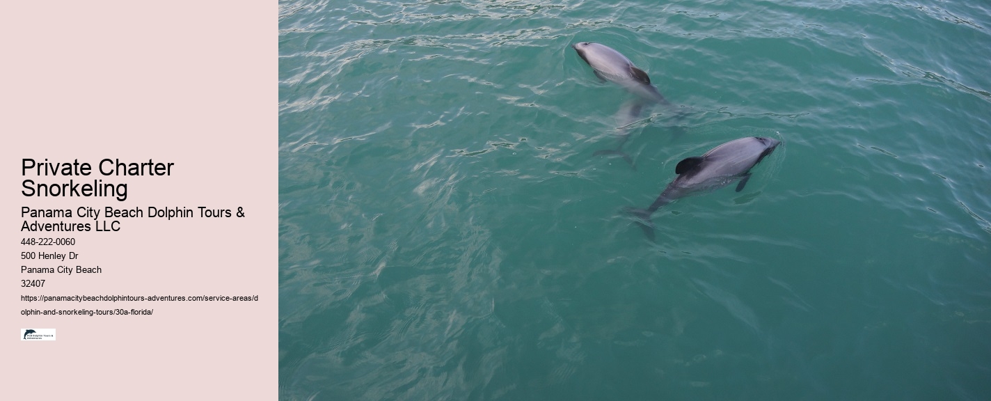 Customizable Dolphin Tours