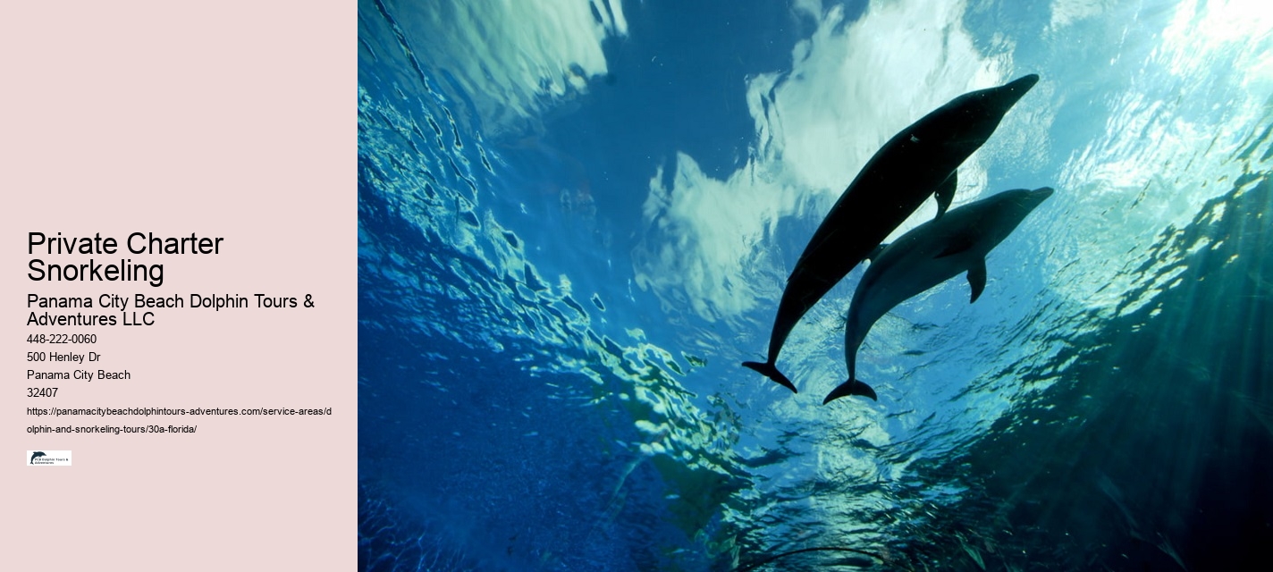 Half-Day Dolphin Tours Panama City