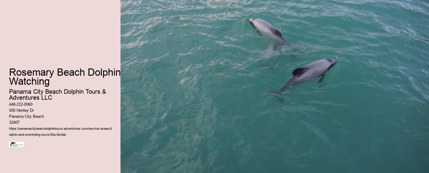 Group Discounts on Dolphin Tours 30A