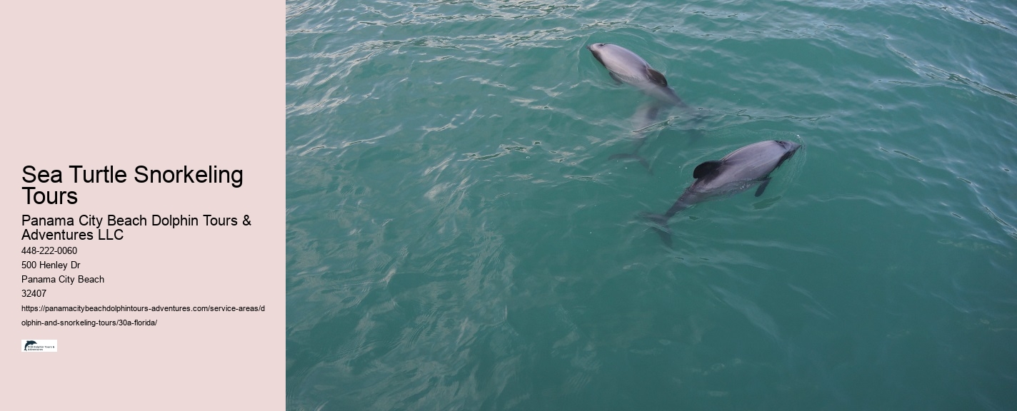 Do you tip on a dolphin tour