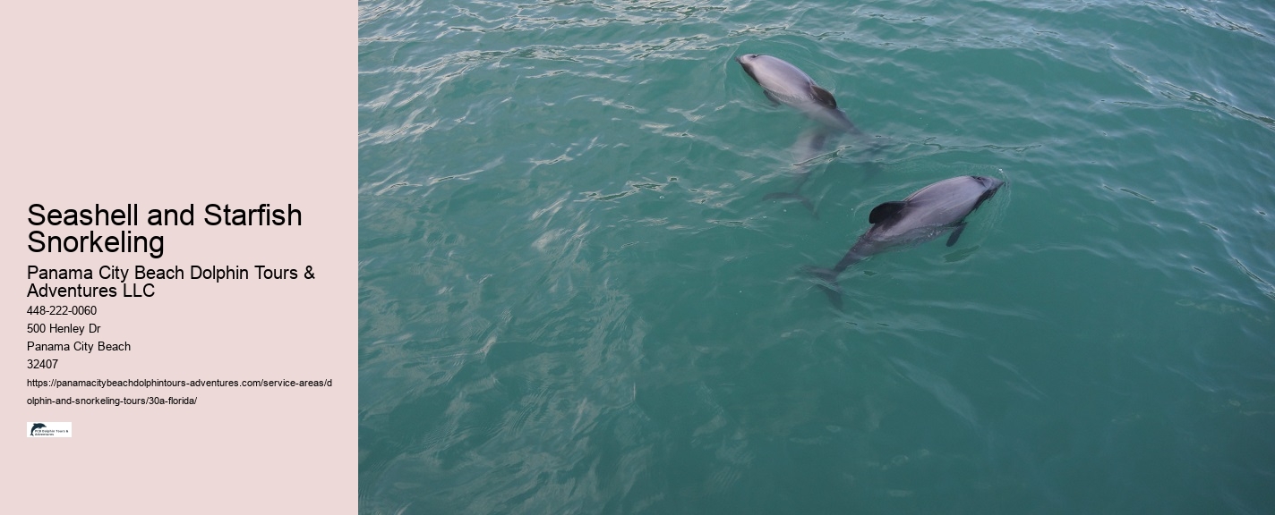 and Snorkeling Tours