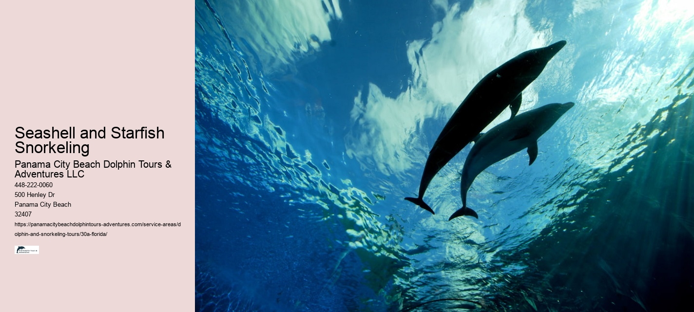 Grand Mere Dolphin Cruise